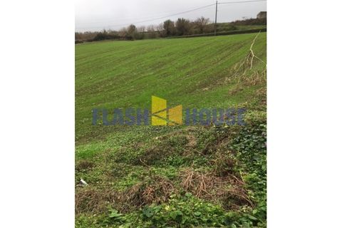 Terra a Rabo de Peixe, Sao Miguel, Rabo de Peixe - € 150.000 | Ref: FHPL5017 - foto 6