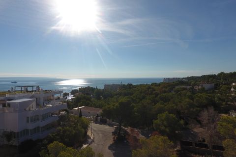 Helårsgrund i Cala Vinyes, Mallorca, Cala Vinyes - € 1.550.000 | Ref: SH-1610 - foto 10
