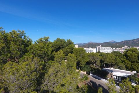 Helårsgrund i Cala Vinyes, Mallorca, Cala Vinyes - € 1.550.000 | Ref: SH-1610 - foto 14