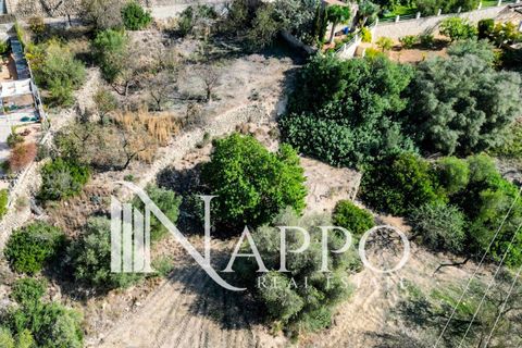 Finca i Calvia, Mallorca, Calvia - € 500.000 | Ref: 4128 - foto 5