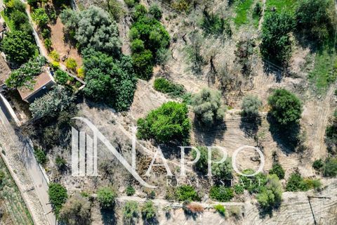 Finca i Calvia, Mallorca, Calvia - € 500.000 | Ref: 4128 - foto 6
