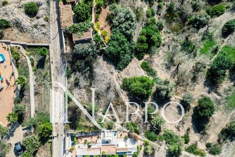 Finca i Calvia, Mallorca, Calvia - € 500.000 | Ref: 4128 - foto 7