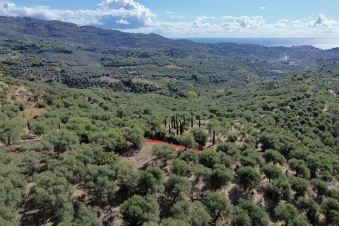 Tomt i Imperia, Imperia, Imperia - € 170 000 | Ref: T219-604183 - foto 2