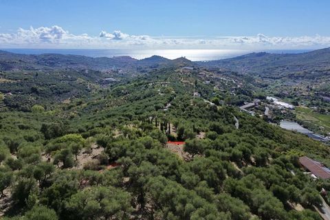 Tomt i Imperia, Imperia, Imperia - € 170 000 | Ref: T219-604183 - foto 3