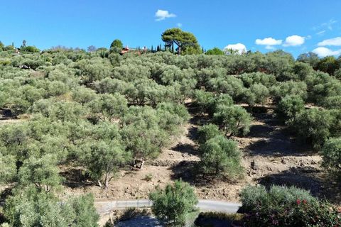 Tomt i Imperia, Imperia, Imperia - € 170 000 | Ref: T219-604183 - foto 4