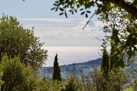 Tomt i Imperia, Imperia, Imperia - € 170 000 | Ref: T219-604183 - foto 6
