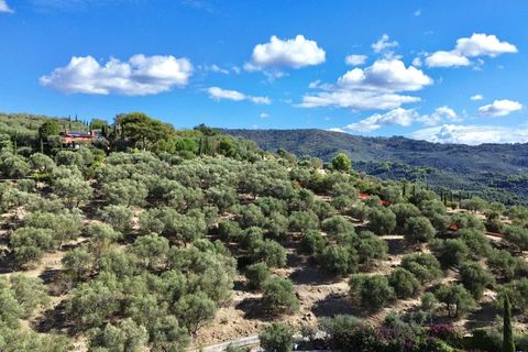 Tomt i Imperia, Imperia, Imperia - € 170 000 | Ref: T219-604183 - foto 7