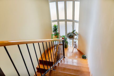 Villa a Ribeira Brava, Madeira, Ribeira Brava - € 450.000 | Ref: CT-1847/2025 - foto 23