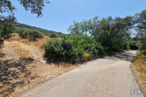 Terra a Faro, Faro, Faro - € 36.000 | Ref: 147159 - foto 5