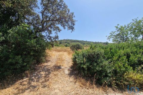 Terra a Faro, Faro, Faro - € 36.000 | Ref: 147159 - foto 6