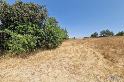 Terra a Faro, Faro, Faro - € 36.000 | Ref: 147159 - foto 9
