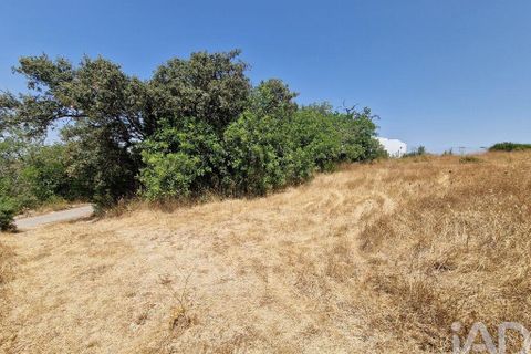 Terra a Faro, Faro, Faro - € 36.000 | Ref: 147159 - foto 15