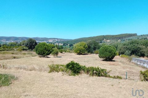Byhus i Abrantes, Santarem, Abrantes - € 430.000 | Ref: 147961 - foto 13