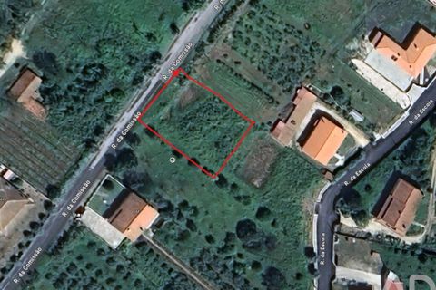 Terra a Rio Maior, Santarem, Rio Maior - € 60.000 | Ref: 720965 - foto 3