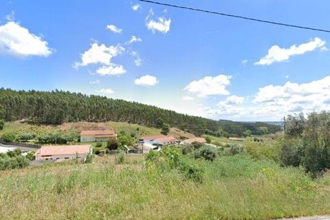 Terra a Rio Maior, Santarem, Rio Maior - € 60.000 | Ref: 720965 - foto 5