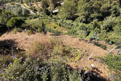 Byhus i Sao Pedro do Sul, Viseu, Sao Pedro do Sul - € 160.000 | Ref: 148861 - foto 6