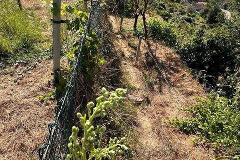 Byhus i Sao Pedro do Sul, Viseu, Sao Pedro do Sul - € 160.000 | Ref: 148861 - foto 9