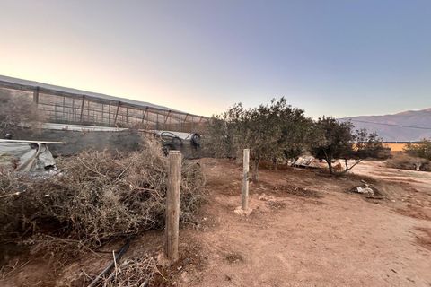 Tomt i El Ejido, Almeria, El Ejido - € 72 500 | Ref: EXP11594/8930 - foto 12