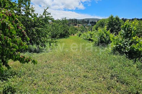 Landejendom i Fundao, Castelo Branco, Fundao - € 31.500 | Ref: 255240176 - foto 3