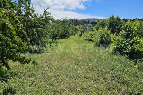 Landejendom i Fundao, Castelo Branco, Fundao - € 31.500 | Ref: 255240176 - foto 6