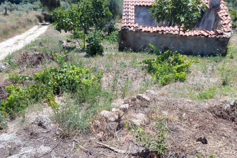 Tomt i Fundao, Castelo Branco, Fundao - € 28 000 | Ref: 255240141 - foto 2
