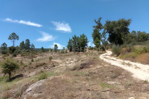 Tomt i Fundao, Castelo Branco, Fundao - € 28 000 | Ref: 255240141 - foto 3