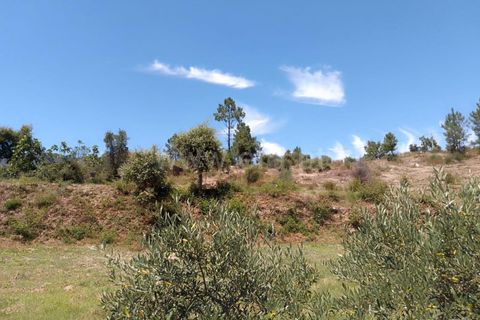 Tomt i Fundao, Castelo Branco, Fundao - € 28 000 | Ref: 255240141 - foto 5