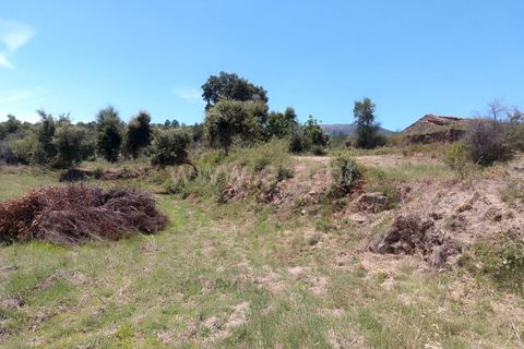 Tomt i Fundao, Castelo Branco, Fundao - € 28 000 | Ref: 255240141 - foto 6