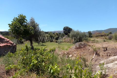 Tomt i Fundao, Castelo Branco, Fundao - € 28 000 | Ref: 255240141 - foto 8