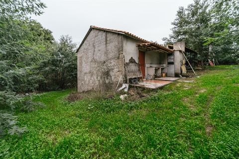 Terra a Fundao, Castelo Branco, Fundao - € 96.900 | Ref: 255250061 - foto 2