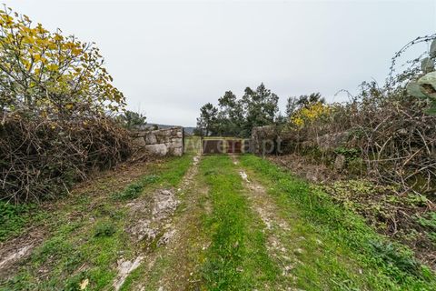 Terra a Fundao, Castelo Branco, Fundao - € 96.900 | Ref: 255250061 - foto 3