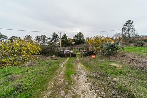 Terra a Fundao, Castelo Branco, Fundao - € 96.900 | Ref: 255250061 - foto 4