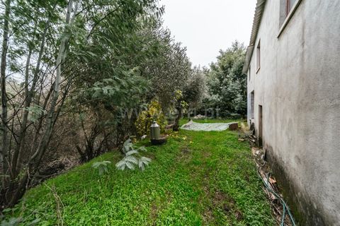 Terra a Fundao, Castelo Branco, Fundao - € 96.900 | Ref: 255250061 - foto 6