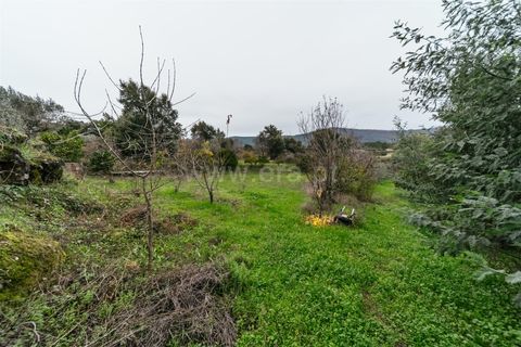Terra a Fundao, Castelo Branco, Fundao - € 96.900 | Ref: 255250061 - foto 7