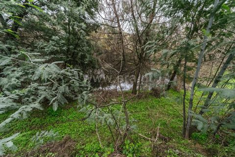 Terra a Fundao, Castelo Branco, Fundao - € 96.900 | Ref: 255250061 - foto 11