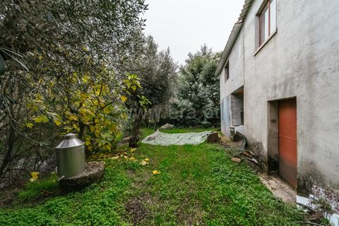 Terra a Fundao, Castelo Branco, Fundao - € 96.900 | Ref: 255250061 - foto 12