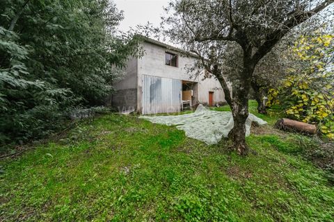 Terra a Fundao, Castelo Branco, Fundao - € 96.900 | Ref: 255250061 - foto 13