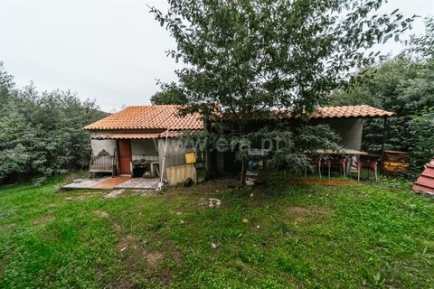 Terra a Fundao, Castelo Branco, Fundao - € 96.900 | Ref: 255250061 - foto 14