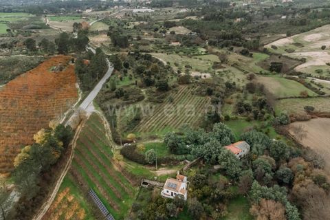 Terra a Fundao, Castelo Branco, Fundao - € 96.900 | Ref: 255250061 - foto 15