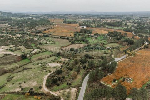 Terra a Fundao, Castelo Branco, Fundao - € 96.900 | Ref: 255250061 - foto 16