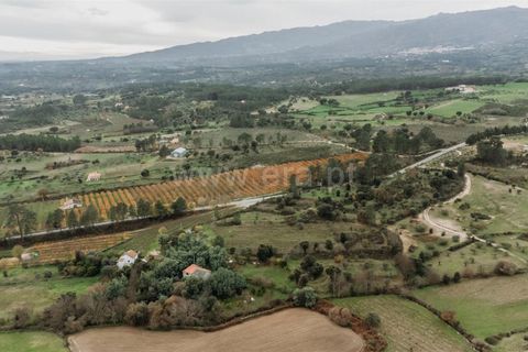 Terra a Fundao, Castelo Branco, Fundao - € 96.900 | Ref: 255250061 - foto 18