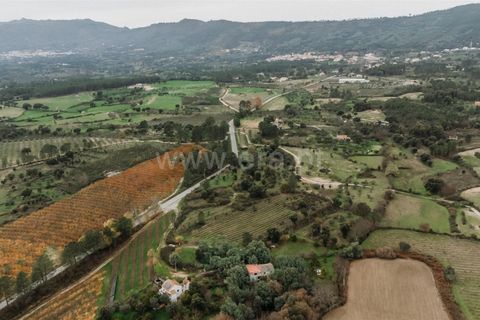 Terra a Fundao, Castelo Branco, Fundao - € 96.900 | Ref: 255250061 - foto 19