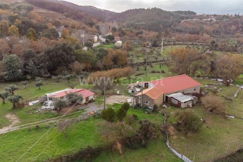 Landejendom i Fundao, Castelo Branco, Fundao - € 595.000 | Ref: 255250049 - foto 1