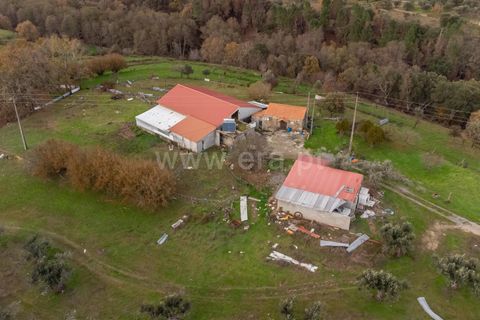 Landejendom i Fundao, Castelo Branco, Fundao - € 595.000 | Ref: 255250049 - foto 2