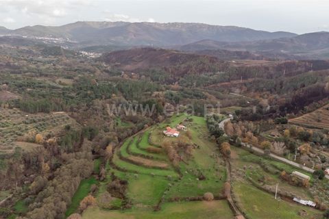 Landejendom i Fundao, Castelo Branco, Fundao - € 595.000 | Ref: 255250049 - foto 4