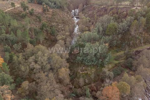 Landejendom i Fundao, Castelo Branco, Fundao - € 595.000 | Ref: 255250049 - foto 9