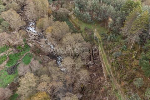 Landejendom i Fundao, Castelo Branco, Fundao - € 595.000 | Ref: 255250049 - foto 10