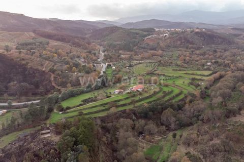Landejendom i Fundao, Castelo Branco, Fundao - € 595.000 | Ref: 255250049 - foto 12
