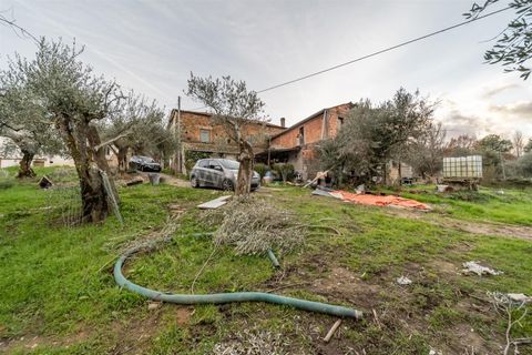 Landejendom i Fundao, Castelo Branco, Fundao - € 595.000 | Ref: 255250049 - foto 14