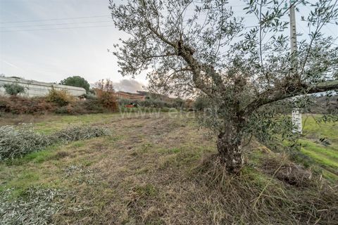Landejendom i Fundao, Castelo Branco, Fundao - € 595.000 | Ref: 255250049 - foto 15